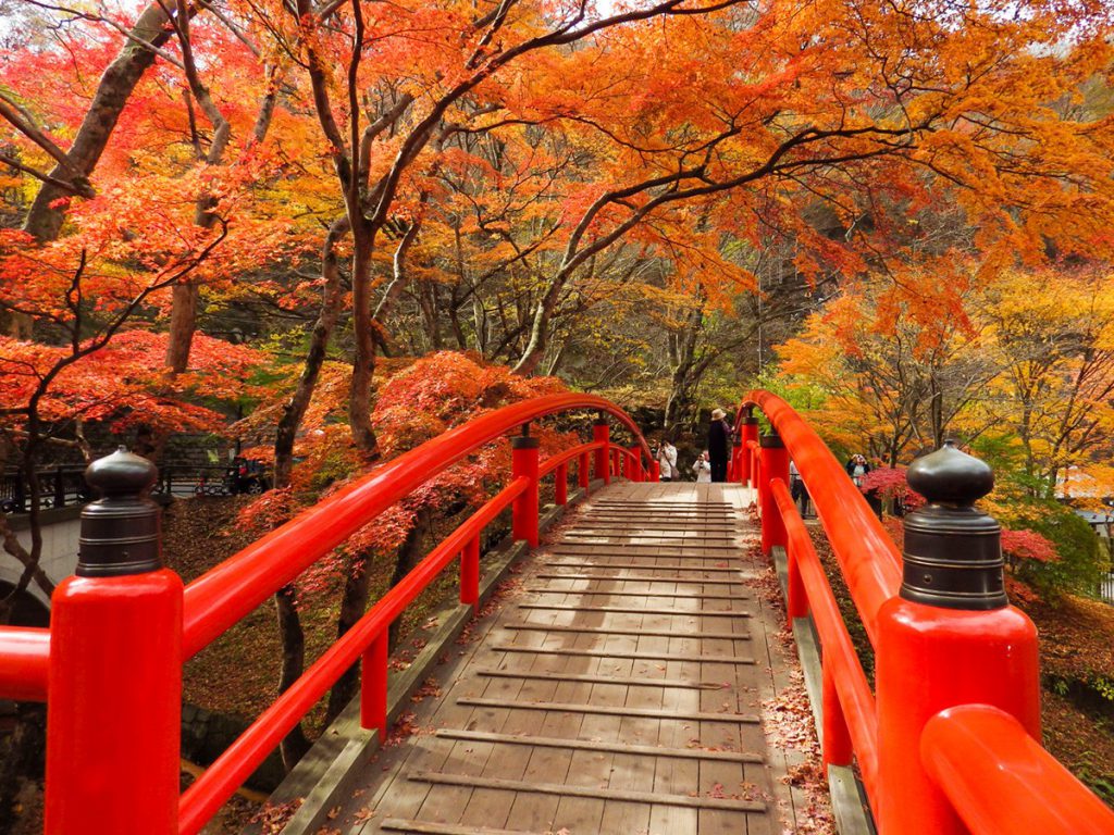 日本語 情緒豊かな秋の伊香保温泉 群馬を代表する秋の紅葉 新着情報 伊香保温泉 福一